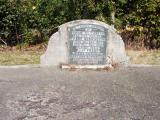 image of grave number 312142